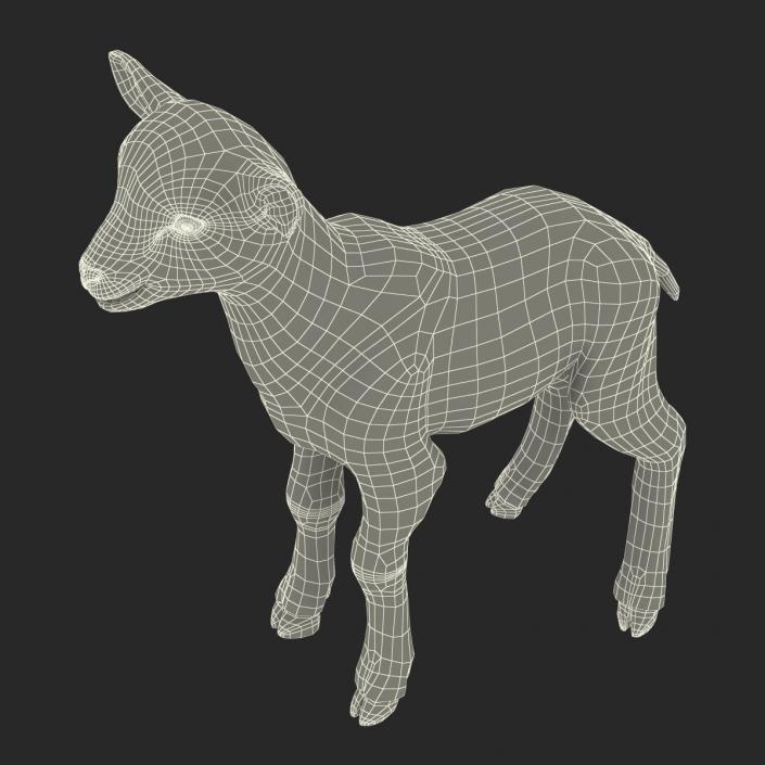 3D model Lamb Rigged with Fur