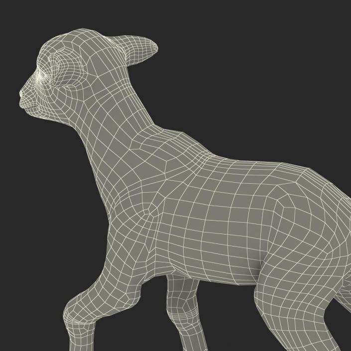 3D model Lamb Pose 2 with Fur
