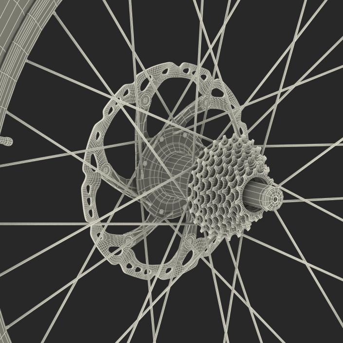 3D Bicycle Back Wheel model
