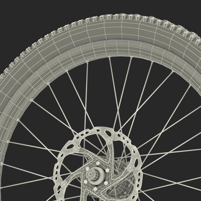 3D Bicycle Back Wheel model