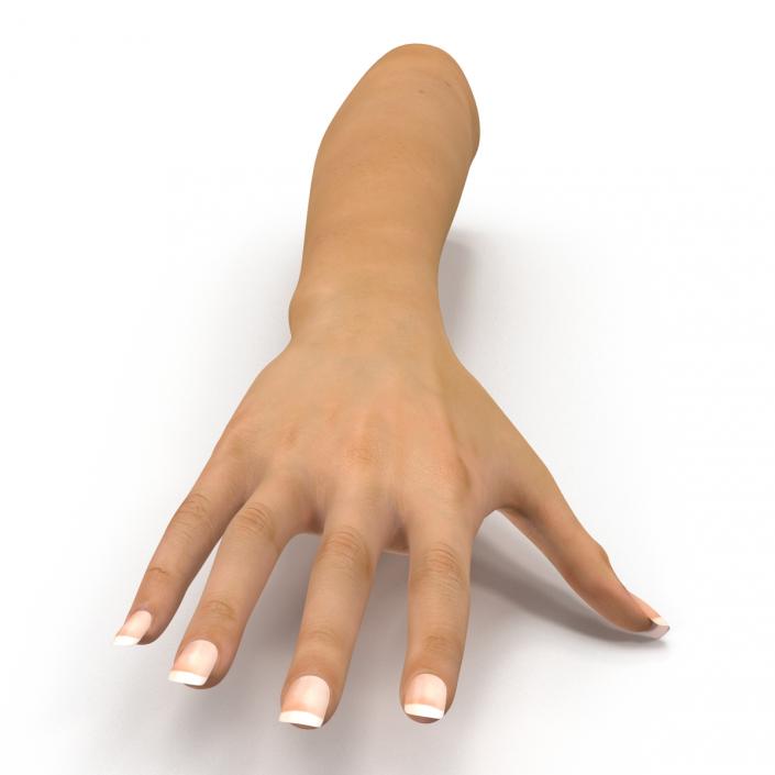 3D Female Hand
