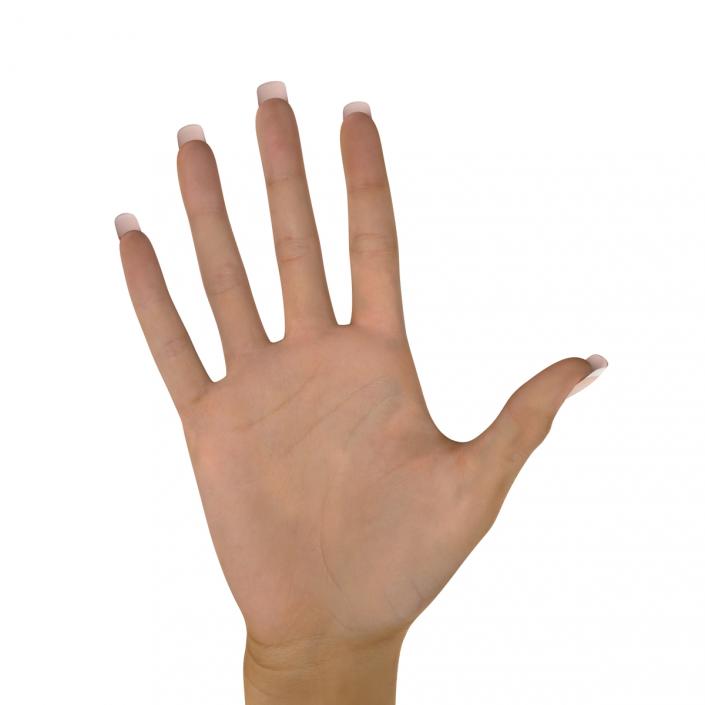 3D Female Hand