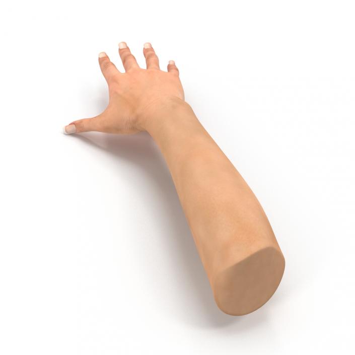 3D Female Hand 2 model