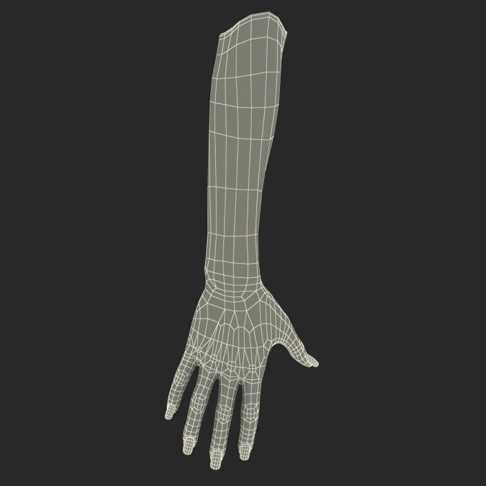 3D Female Hand 2 model