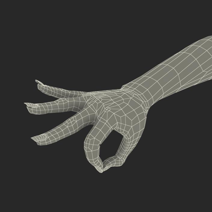 3D model Female Hand 3 Pose 4