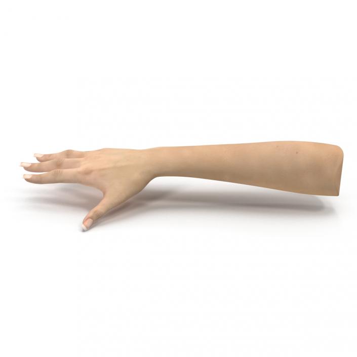 3D Female Hand 3 model