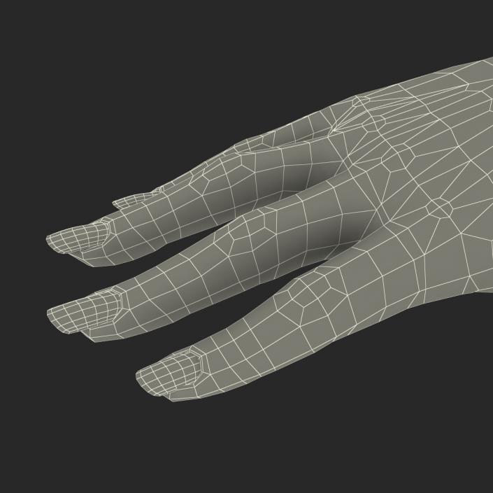 3D Female Hand 3 model