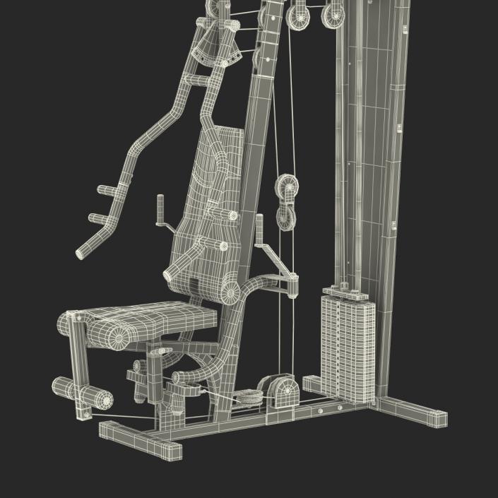 3D Weight Machine 2