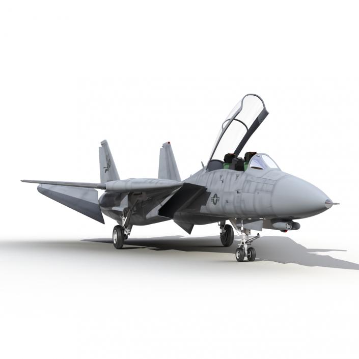 3D model F-14 Tomcat US Combat Aircraft