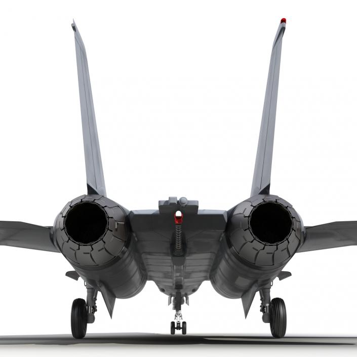 F-14 Tomcat US Combat Aircraft Rigged 3D