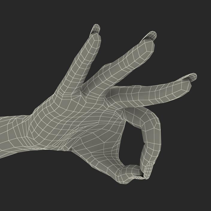 3D Female Hand Rigged model