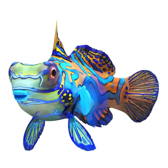 Mandarinfish Rigged 3D model