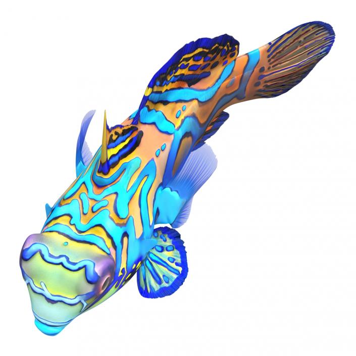 Mandarinfish Pose 2 3D model