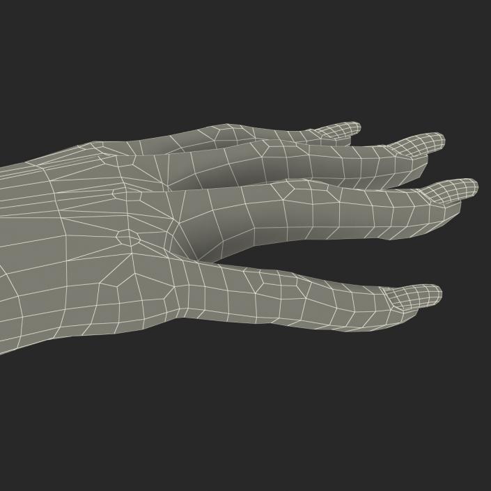 3D model Female Hand 2 Rigged