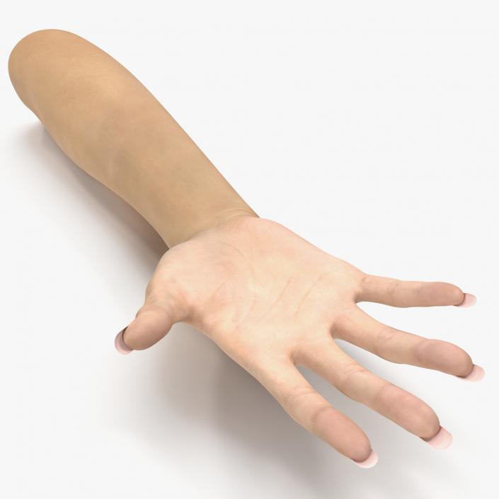 3D model Female Hand 3 Rigged