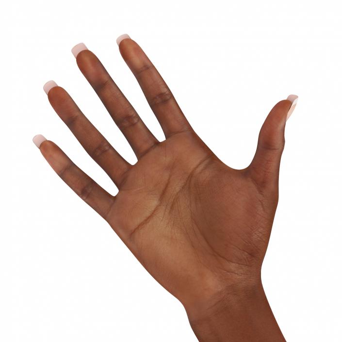 3D model Female Hand African American Rigged