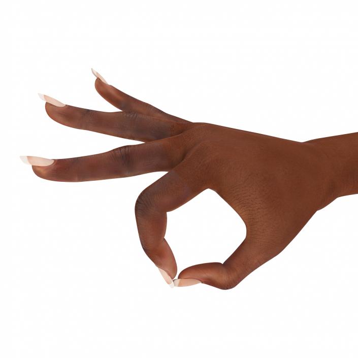 3D model Female Hand African American Rigged