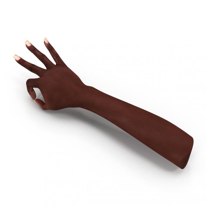 Female Hand African American 2 Rigged 3D