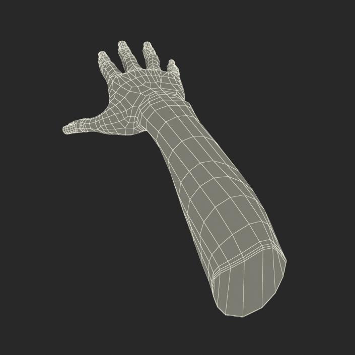 Female Hand African American 2 Rigged 3D