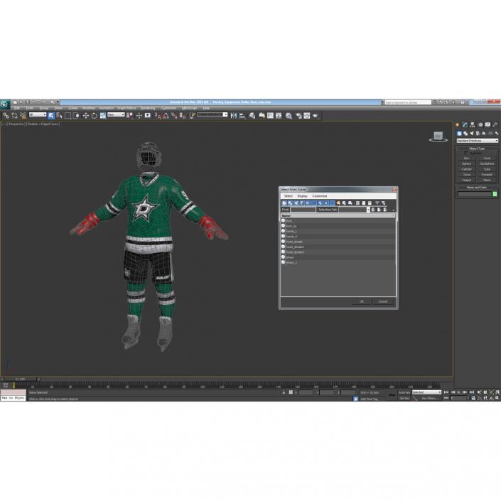 Hockey Equipment Dallas Stars 3D model