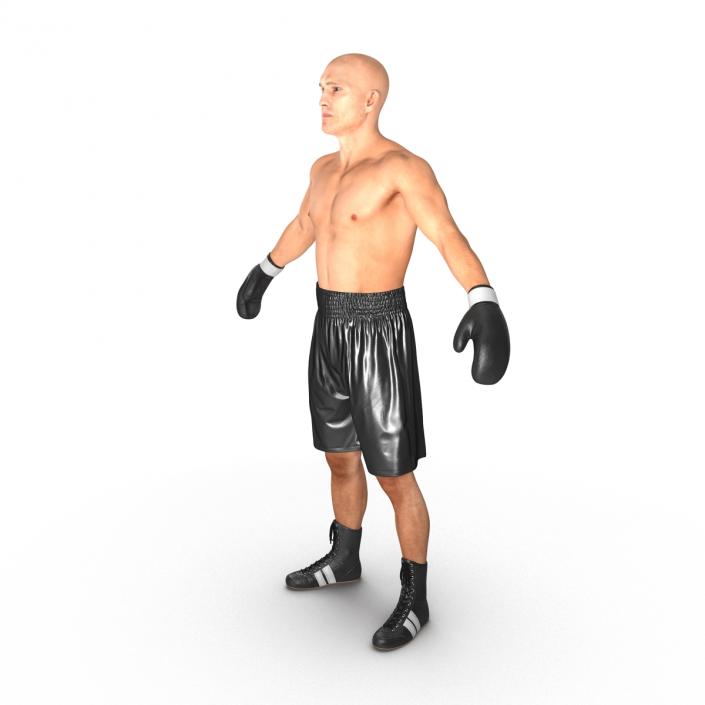 Adult Boxer Man 2 3D