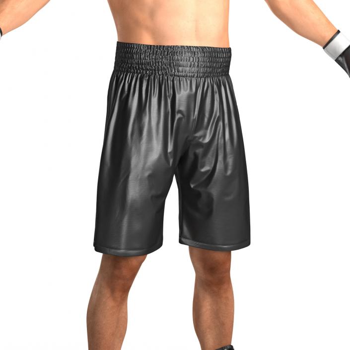 Adult Boxer Man 2 3D