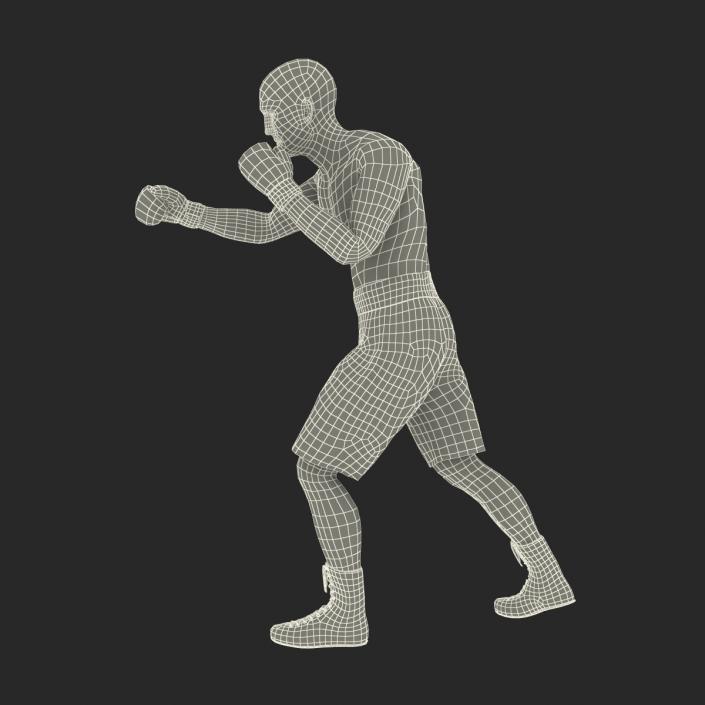Adult Boxer Man 2 Pose 3 3D model