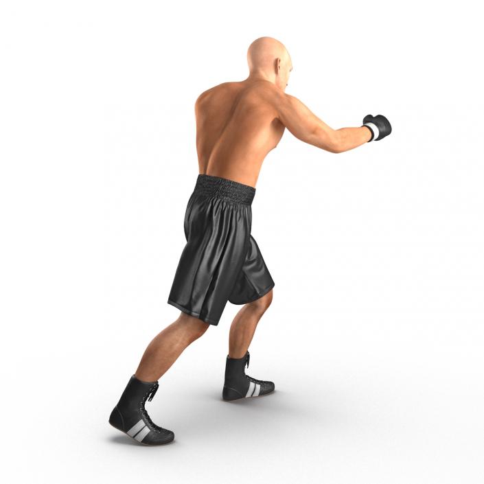 Adult Boxer Man 2 Pose 3 3D model