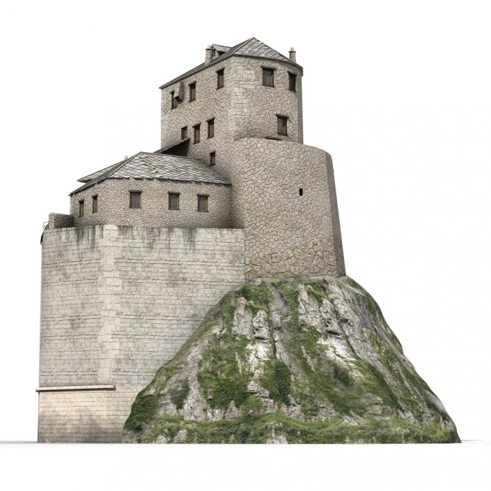 Old Castle on the Hill 3D