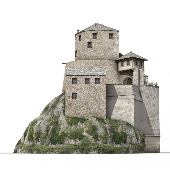 Old Castle on the Hill 3D