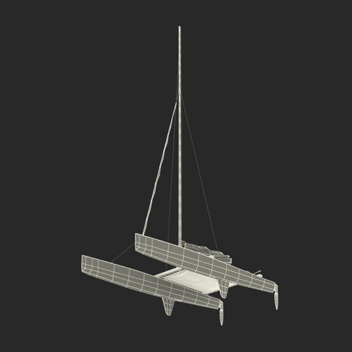 3D model Small Sail Catamaran