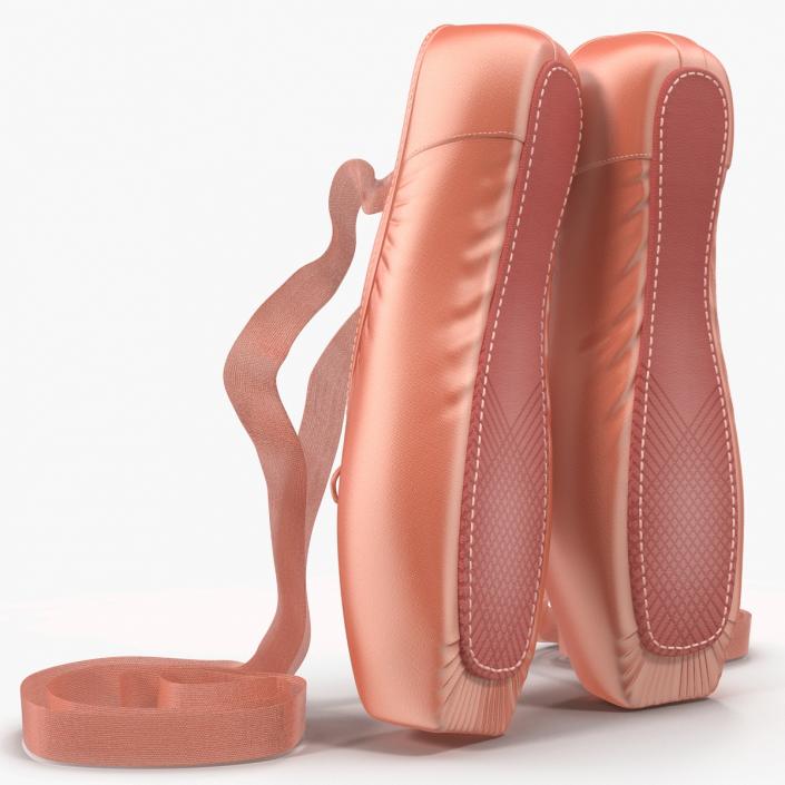 Pink Ballet Shoes 3D