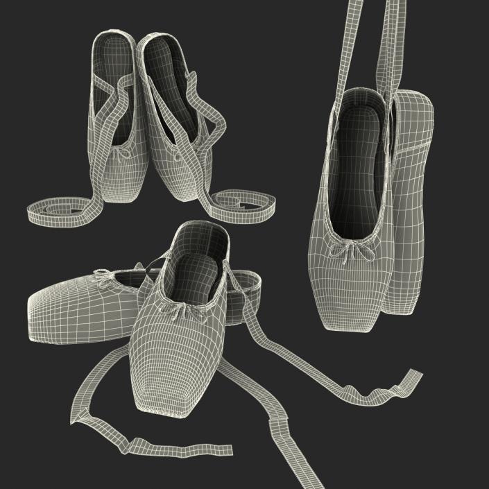 3D Ballet Shoes Set