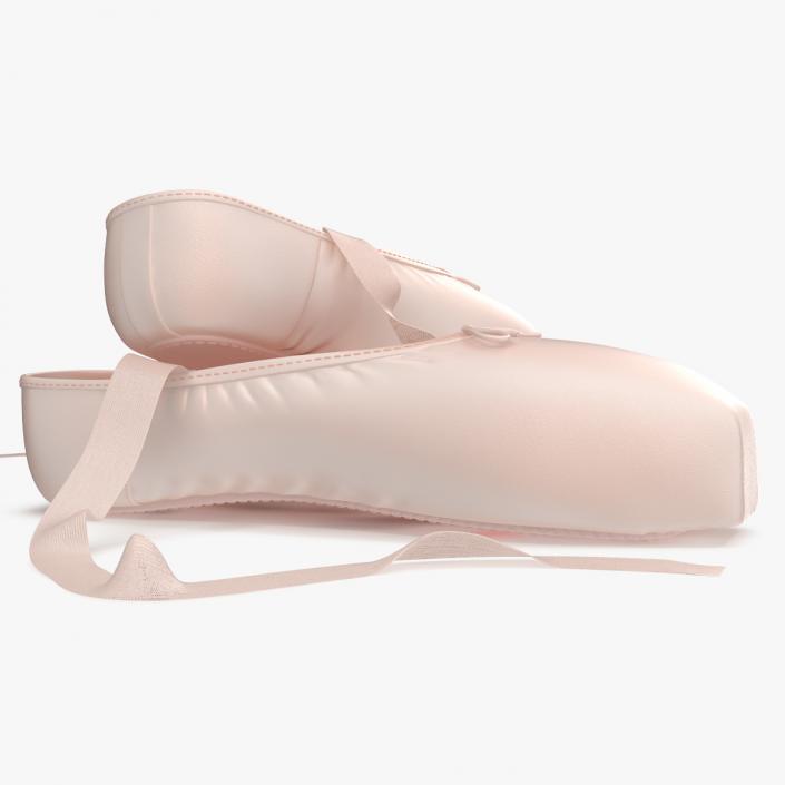Ballet Shoes 3D