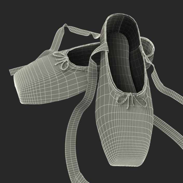 Ballet Shoes 3D