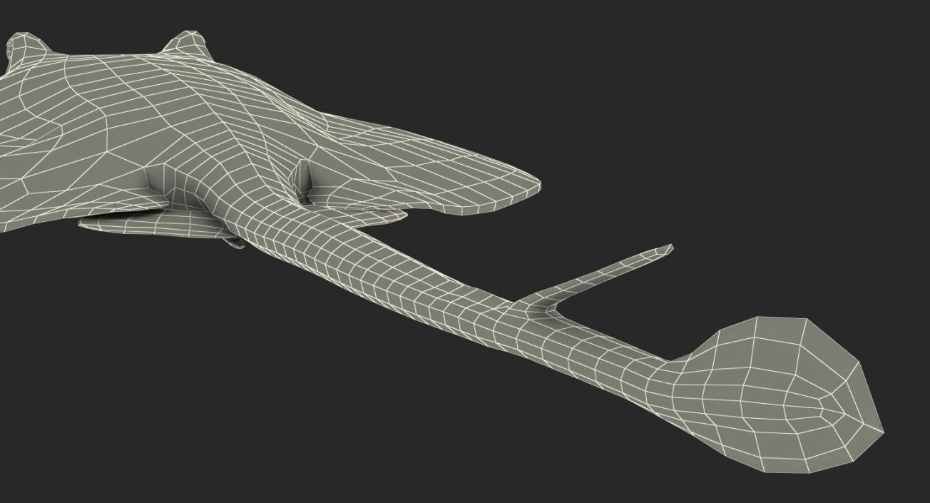 3D Blue Spotted Stingray Rigged model