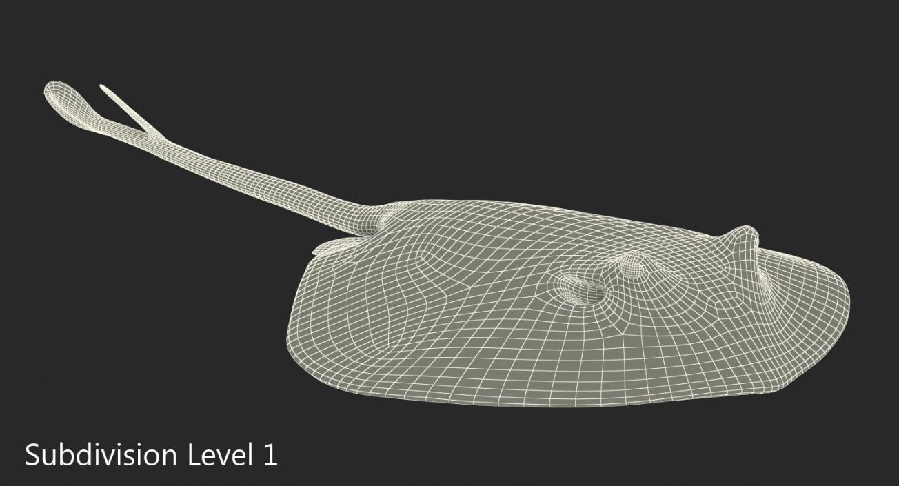 3D Spotted Stingray Rigged model