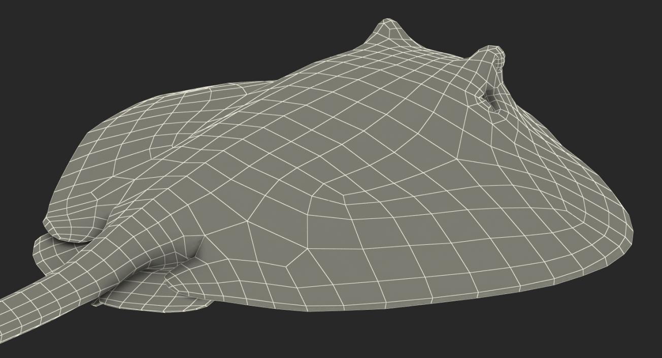 3D Spotted Stingray Rigged model