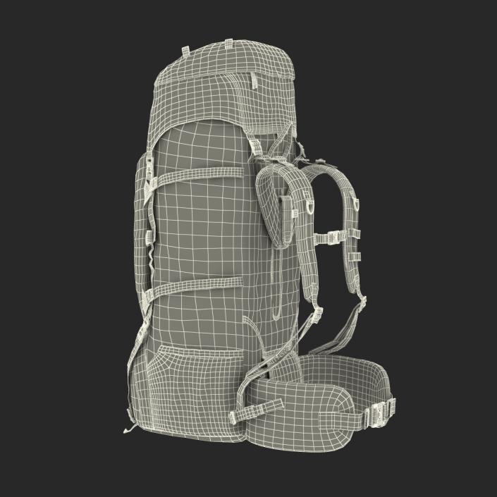 3D Large Camping Backpack Green model