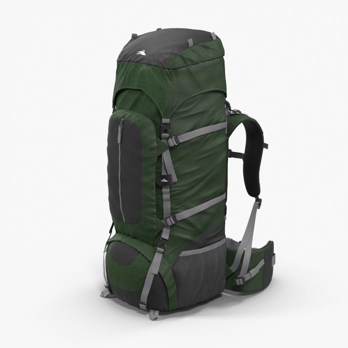 3D Large Camping Backpack Green model