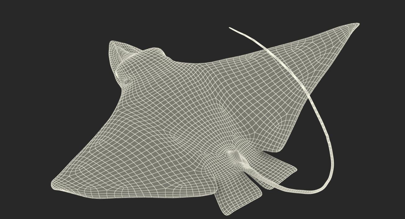 3D Eagle Ray Rigged